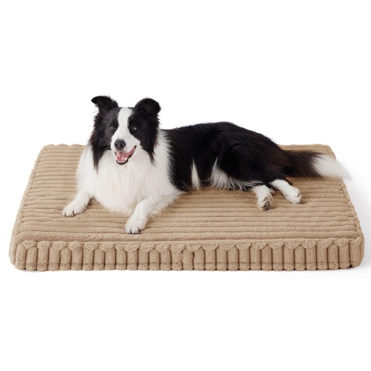 Beige SupportRest dog bed