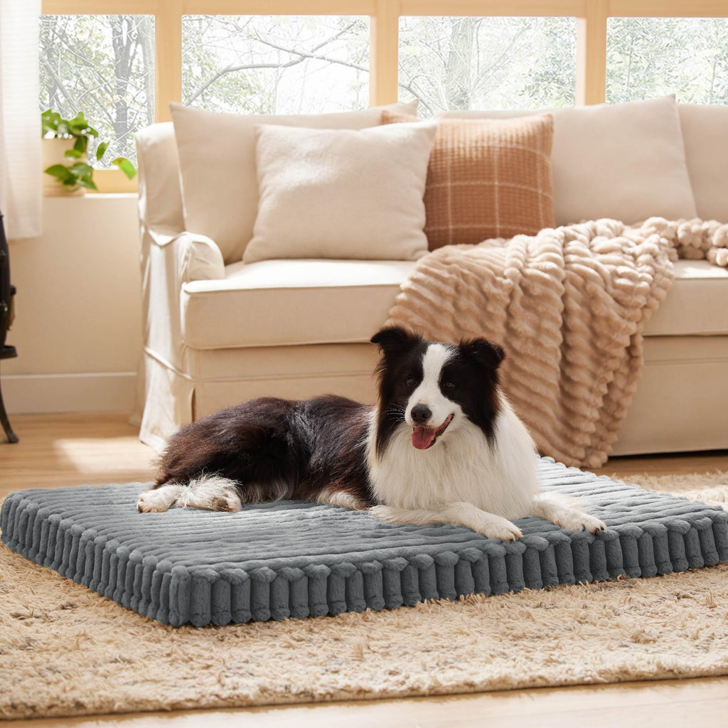 Dark grey supportive dog bed in a living room