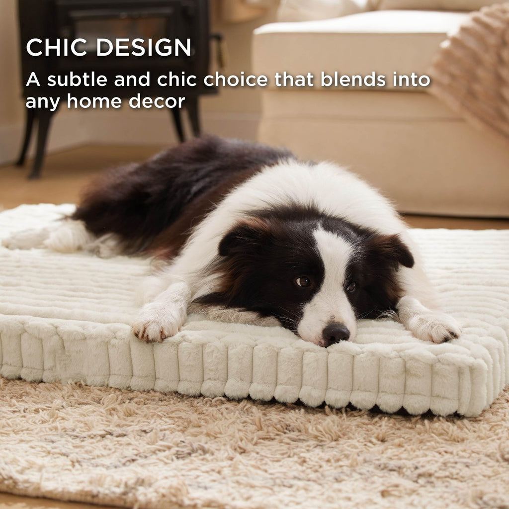 Beige supportive dog bed lifestyle image